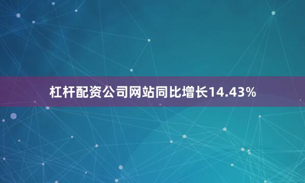 杠杆配资公司网站同比增长14.43%