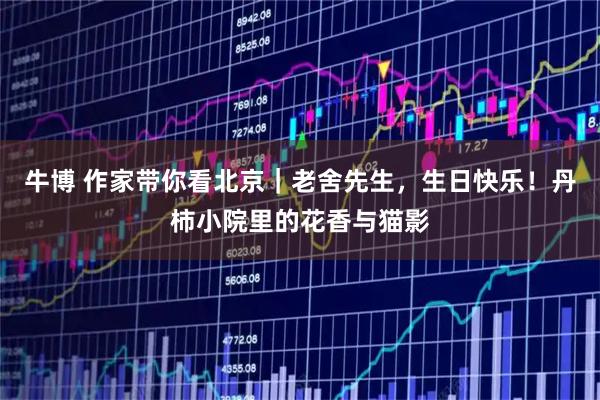 牛博 作家带你看北京｜老舍先生，生日快乐！丹柿小院里的花香与猫影