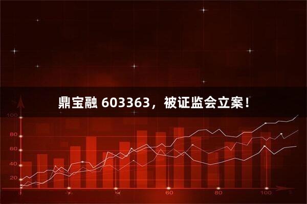 鼎宝融 603363，被证监会立案！